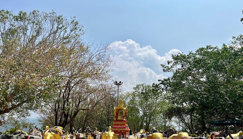 Elefanten sind Thailands Nationaltiere und werden in vielen Tempeln verehrt. (Archivbild) Elefanten sind Thailands Nationaltiere und werden in vielen Tempeln verehrt. (Archivbild)