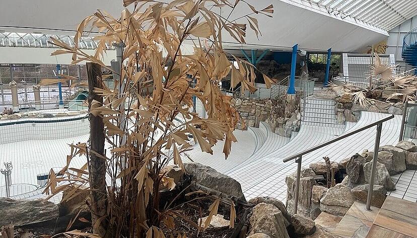 Das Palmenparadies ist Vergangenheit, das Aquatoll braucht mehr als ein paar Schönheitsreparaturen. Das Palmenparadies ist Vergangenheit, das Aquatoll braucht mehr als ein paar Schönheitsreparaturen.