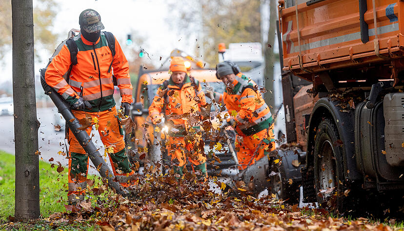 Laubbläser wirbeln nicht nur Blätter auf, sondern jedes Jahr aufs Neue auch eine Grundsatzdiskussion darüber, ob sie nötig sind. 
Foto: Mario Berger