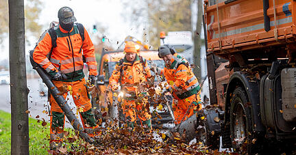 Laubbläser wirbeln nicht nur Blätter auf, sondern jedes Jahr aufs Neue auch eine Grundsatzdiskussion darüber, ob sie nötig sind. 
Foto: Mario Berger