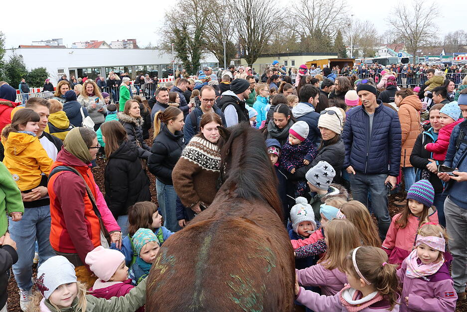 Öhringen startet am Sonntag in den Pferdemarkt