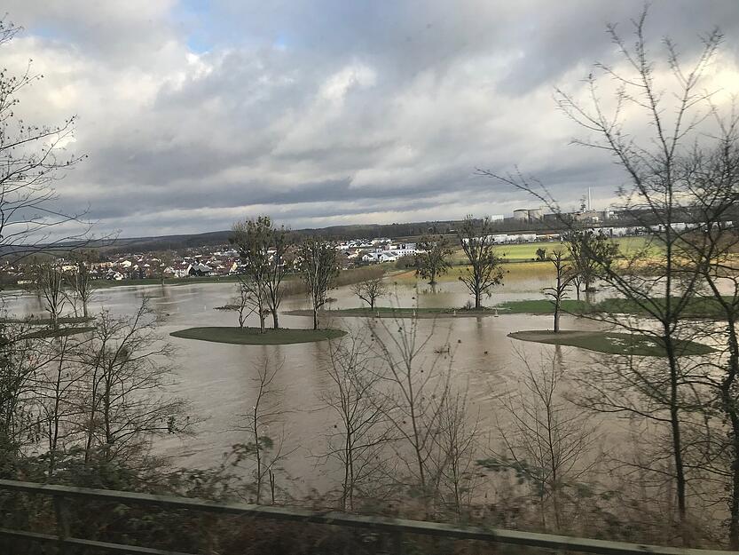 &Uuml;berschwemmte Uferbereiche am Neckar zwischen Offenau und Heinsheim.