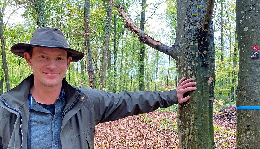 Der studierte Förster Torben Lenhart betreut acht Friedwälder. Die rote Plakette an der blau-bebänderten Buche zeigt ihren Preis an: 4490 Euro. Der studierte Förster Torben Lenhart betreut acht Friedwälder. Die rote Plakette an der blau-bebänderten Buche zeigt ihren Preis an: 4490 Euro.