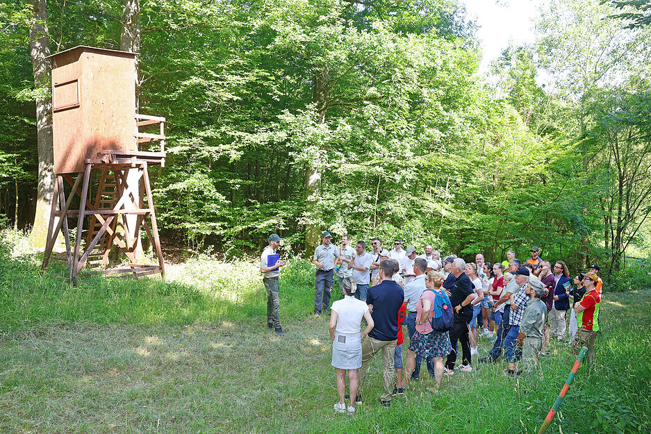 Der Stadtwald Heilbronn ist 1600 Hektar gro&szlig;, zwei Drittel davon liegen &ouml;stlich des Neckars.