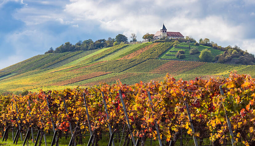Der Fokus vieler Touristikverb&auml;nde in der Region liegt auf den Themen Radfahren und Wein. Auch der Michaelsberg bei Cleebronn ist ein beliebtes Ziel.