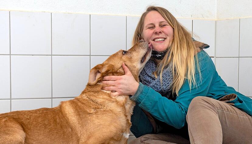Schmuserunde: Vizevorsitzende Anja Fischer kümmert sich im Heilbronner Tierheim um die neunjährige Maszola, einen Labrador-Mischling. Fischer hofft, dass 2021 wieder Tierheimfeste mit vielen Besuchern möglich werden. 
Fotos: Mario Berger