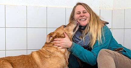 Schmuserunde: Vizevorsitzende Anja Fischer kümmert sich im Heilbronner Tierheim um die neunjährige Maszola, einen Labrador-Mischling. Fischer hofft, dass 2021 wieder Tierheimfeste mit vielen Besuchern möglich werden. 
Fotos: Mario Berger
