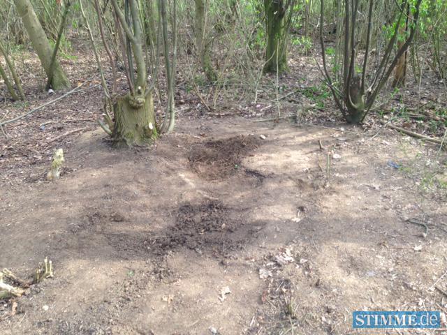 Leichenfund bei Neuenstadt Leichenfund bei Neuenstadt