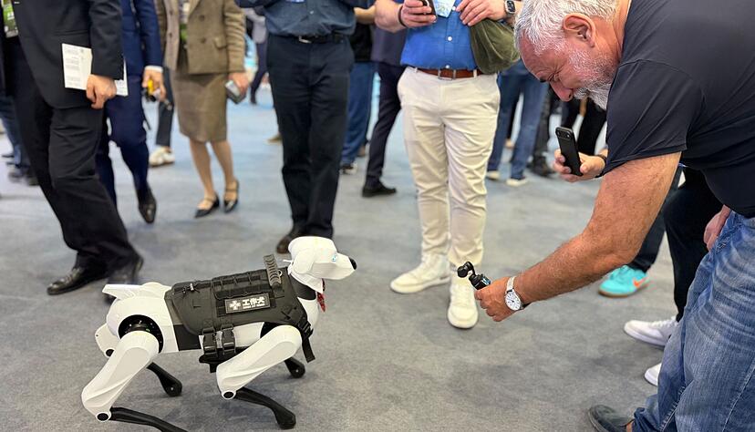 Humanoide Roboter und Cyberhunde verz&uuml;cken die Besucher der Auto China.