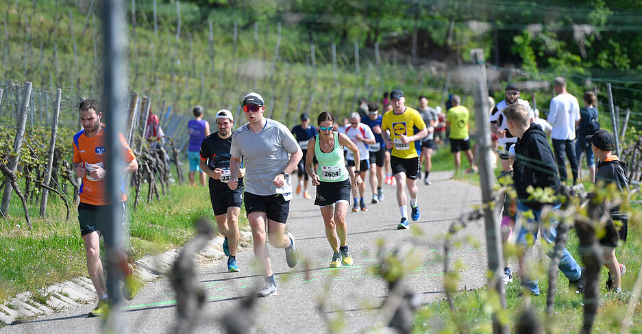 21. Trollinger Marathon - Auf der Strecke