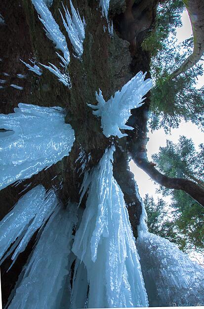 H&ouml;rschbachschlucht bei Murrhardt