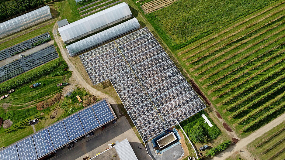 Einweihung der Agrar-PV-Anlage im Obstversuchsgut Heuchlingen in Bad Friedrichshall. Pilotprojekt des Landes Baden-Württemberg. Beerenobstanlage unter APV-Überdachung.