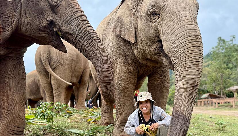 Saengduean «Lek» Chailert verbringt täglich viel Zeit mit ihren Elefanten. Saengduean «Lek» Chailert verbringt täglich viel Zeit mit ihren Elefanten.