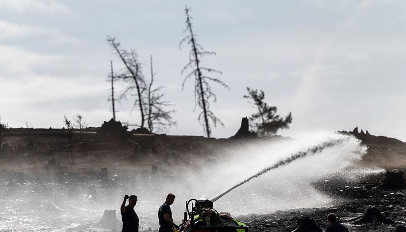 Feuerwehrleute bek&auml;mpfen versteckte Glutnester beim Waldbrand auf der Saalfelder H&ouml;he.