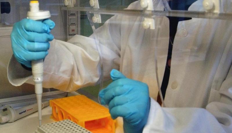 Eine Labormitarbeiterin separiert DNA-Proben. Foto: Mauricio Gambarini/Archiv