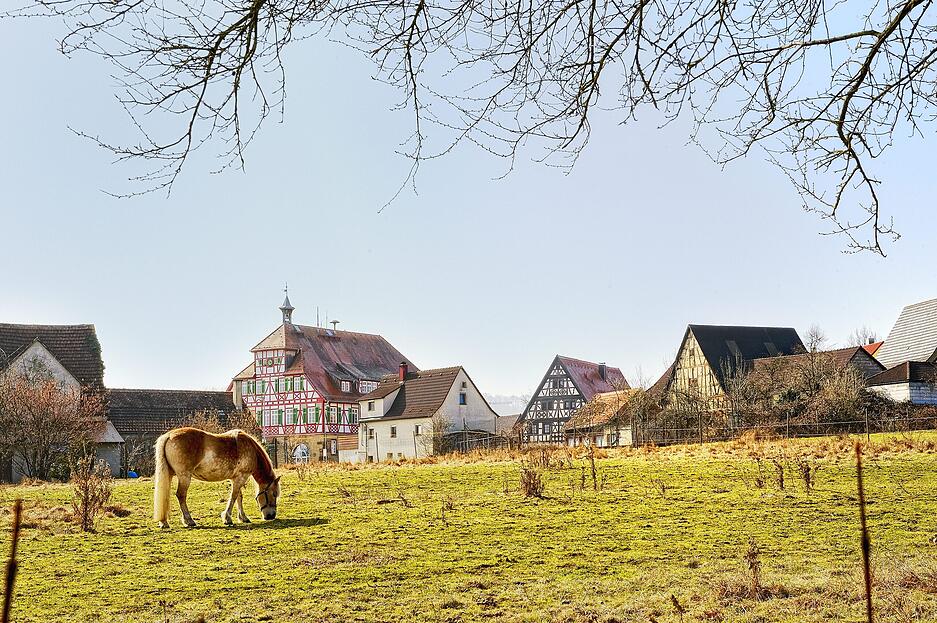Lehrensteinsfeld