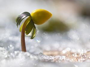 Am Wochenende kann es in h&ouml;heren Lagen in Baden-W&uuml;rttemberg wei&szlig; werden.