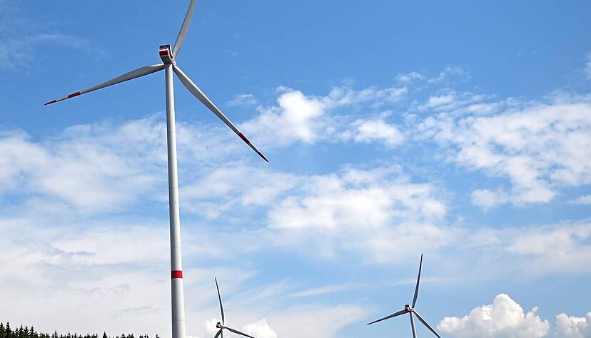 Auch im Wald bei Kirchhausen soll Strom im Wald erzeugt werden. Hinter dem Vorhaben stehen Zeag und Stadtwerke Heilbronn.