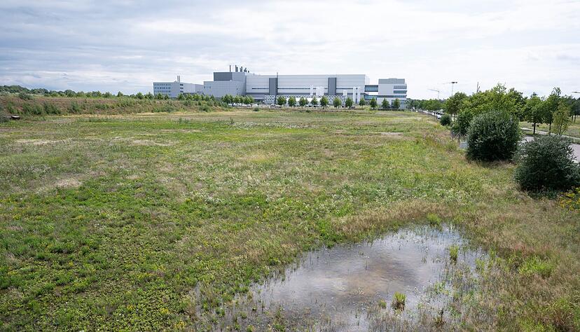 Geplanter Standort im Dresdner Norden, im Hintergrund ist die Halbleiterfabrik von Bosch zu sehen.
