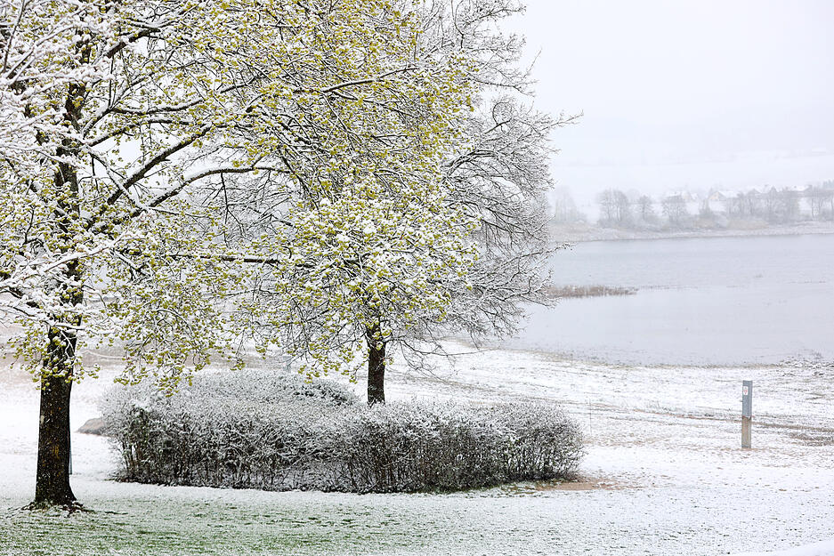 Schnee im April, Breitenauer See