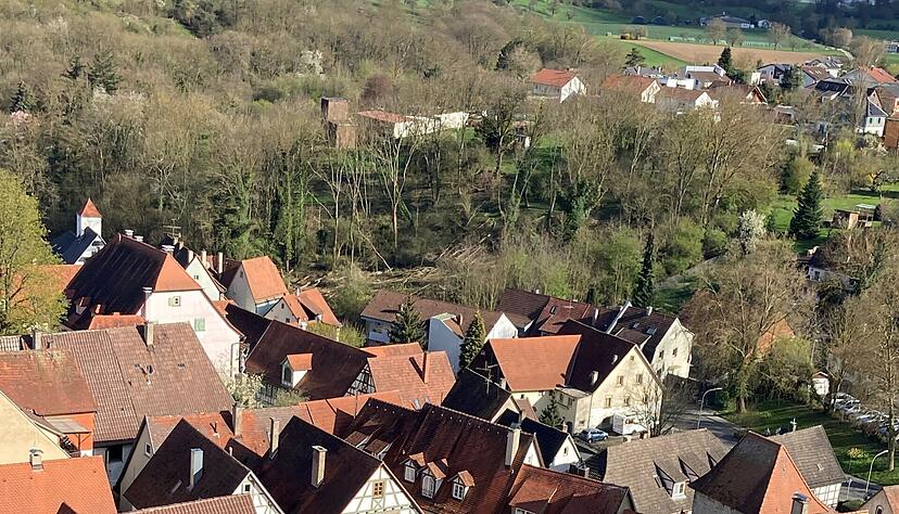 Der Blick auf den mittelalterlichen Stadtkern Bad Wimpfens. Ist dieser Anblick bald Geschichte? Landeskonservator Dr. Martin Hahn: "Auch H&auml;user in denkmalgesch&uuml;tzten Gesamtanlagen k&ouml;nnen einen zus&auml;tzlichen Beitrag zur Energiewende leisten."