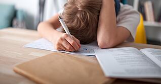 Monatelanges Homeschooling geht an vielen Kinden nicht spurlos vorüber. Die Jugendämter befürchten deutlich mehr Schulabbrüche. Foto: leszekglasner/stock.adobe.com Monatelanges Homeschooling geht an vielen Kinden nicht spurlos vorüber. Die Jugendämter befürchten deutlich mehr Schulabbrüche. Foto: leszekglasner/stock.adobe.com