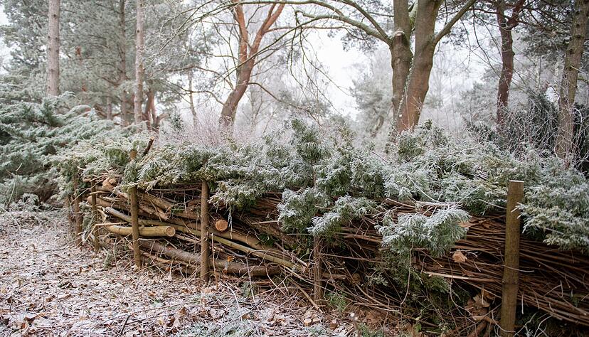 Totholzhecken bieten Insekten, Kleins&auml;ugern und anderen Gartenbewohnern einen sicheren Unterschlupf.