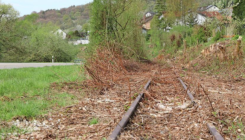 Die Schienen der historischen Jagsttalbahn, hier in Gommersdorf, wurden j&uuml;ngst freigeschnitten.