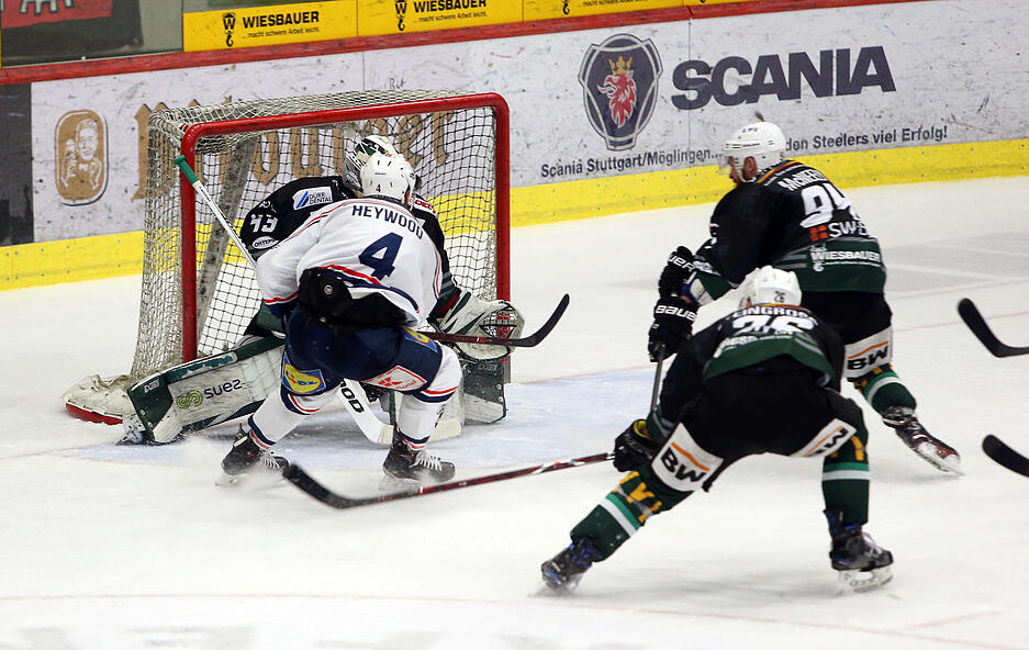 Falken: Start der Playoffs