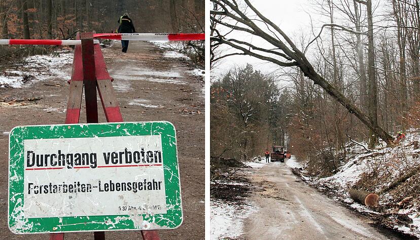 Baumfällarbeiten sorgen für eine Sperrung. Baumfällarbeiten sorgen für eine Sperrung.