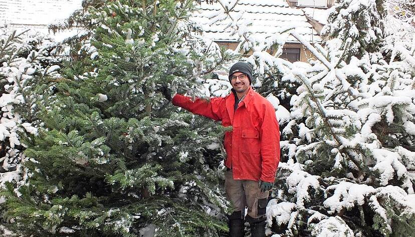 Die Weihnachtsbäume im winterlicher Schneepracht: Jörg Steinbacher kümmert sich auf dem Bauernhof um den Verkauf.   
Foto: Wolfgang Seybold