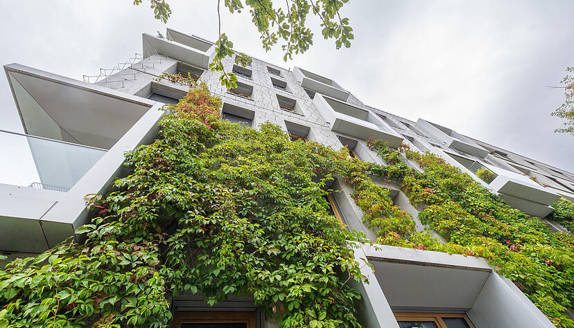 Bis eine Fassade begrünt ist, kann es dauern. Das Haus "Grüne Ecke" im Heilbronner Neckarbogen wurde zur Bundesgartenschau 2019 gebaut. Noch haben die Kletterpflanzen das Gebäude nicht zugewuchert. Bis eine Fassade begrünt ist, kann es dauern. Das Haus "Grüne Ecke" im Heilbronner Neckarbogen wurde zur Bundesgartenschau 2019 gebaut. Noch haben die Kletterpflanzen das Gebäude nicht zugewuchert.