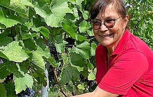 Petra H&auml;fele zeigt die pr&auml;chtigen Lembergertrauben.