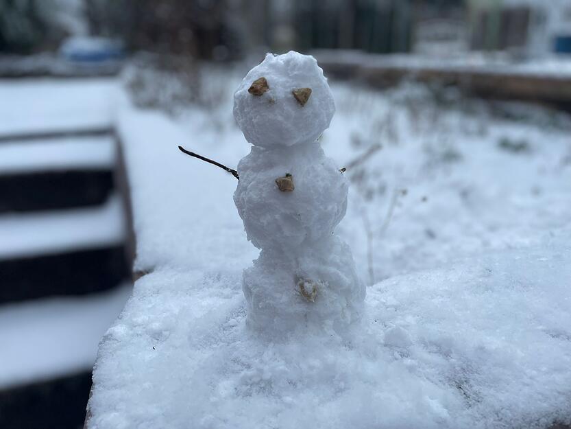 F&uuml;r einen kleinen Schneemann reichen die Flocken.