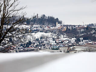 Der Schnee &uuml;berdeckt auch L&ouml;wenstein.
