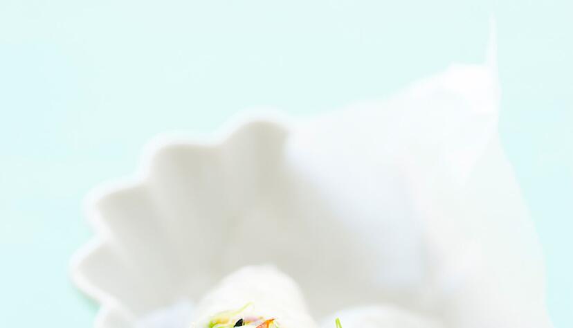 Mit Gem&uuml;se gef&uuml;llte Reispapierrollen bieten sich als Fingerfood gut zum Mitbringen f&uuml;r ein Buffet an.