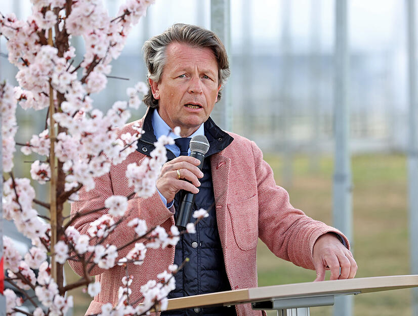 Einweihung der Agrar-PV-Anlage im Obstversuchsgut Heuchlingen in Bad Friedrichshall. Pilotprojekt des Landes Baden-Württemberg. Beerenobstanlage unter APV-Überdachung.