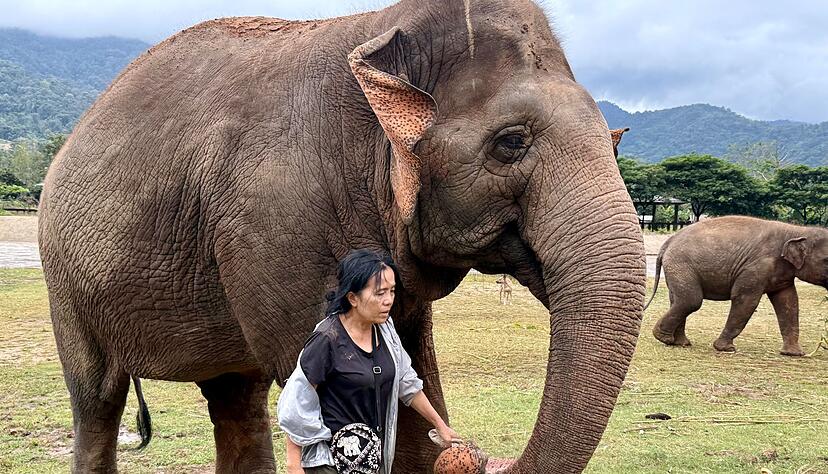 Lek ist für ihre Arbeit vielfach ausgezeichnet worden. Lek ist für ihre Arbeit vielfach ausgezeichnet worden.