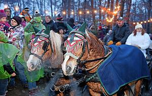 Für viele Familien ist die Tierweihnacht im Wildparadies Tripsdrill ein fester Termin im Jahreskalender. 2020 muss sie ausfallen.
Fotos. Archiv/Veigel Für viele Familien ist die Tierweihnacht im Wildparadies Tripsdrill ein fester Termin im Jahreskalender. 2020 muss sie ausfallen.
Fotos. Archiv/Veigel