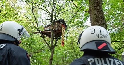 Im September 2018 erreichten die Proteste ihren Höhepunkt: Polizisten vor einem Baumhaus im Hambacher Forst.