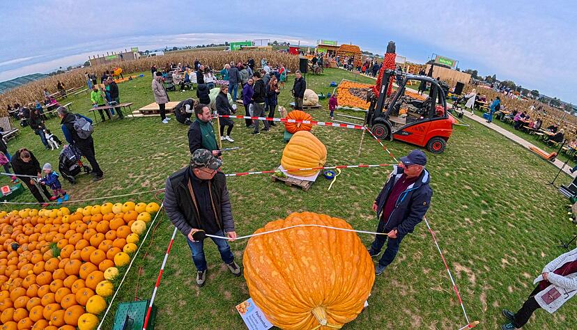 Den Sieger erwartete ein Preisgeld von 500 Euro sowie ein Pr&auml;sentkorb im Warenwert von mehr als 100 Euro.