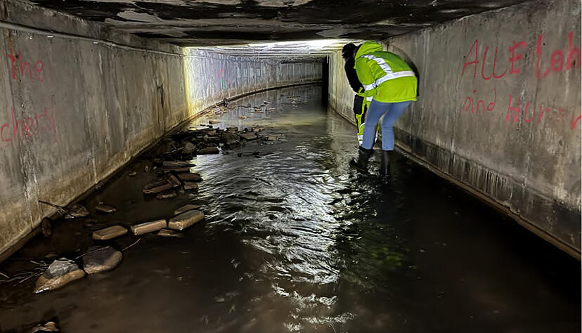 So sieht die Ellbachdole aus. Sie in die Jahre gekommen und muss saniert werden. So sieht die Ellbachdole aus. Sie in die Jahre gekommen und muss saniert werden.