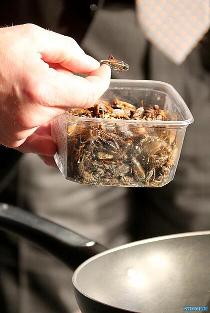 Insektenkoch Frank Ochmann im Audi-Forum Neckarsulm.