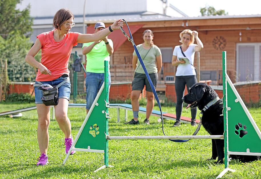 Agility Hunde-Training Lesersommer Agility Hunde-Training Lesersommer