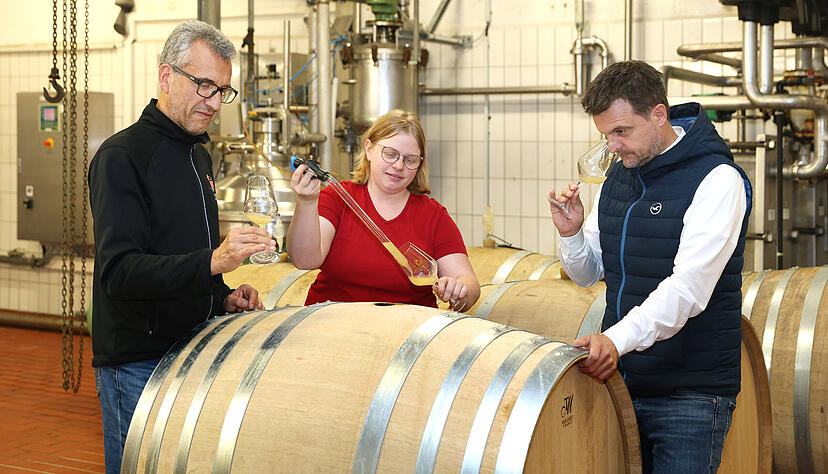 In den Tiefen des Kellers: Joachim Stock, Alexandra Andrasch und Dirk Mosthaf (von links) von den Winzern vom Weinsberger Tal testen den noch ganz jungen Grauburgunder Noblesse 2024.
