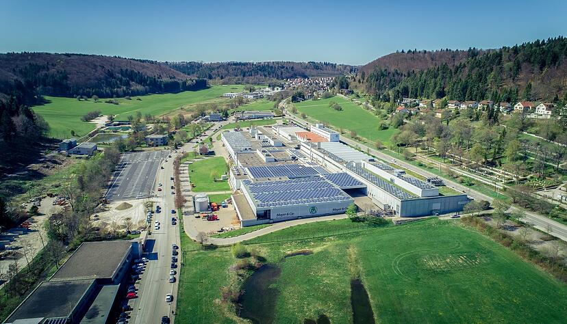 Die Suche nach einem potenziellen Investor verlief erfolglos. (Foto Handout)