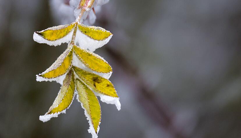 Die Temperaturen bleiben eisig unter 0 Grad. (Archivbild)