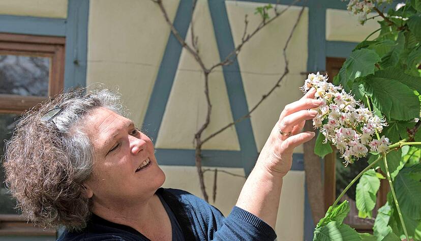 Hobbyimkerin Tanja Grathwohl erfreut sich in ihrem Garten in Wohlmuthausen an der Kastanienblüte. Die ist auch für Bienen und Hummeln , die ebenfalls zu den Wildbienen zählen, ein Festmahl.
Fotos: Andreas Scholz Hobbyimkerin Tanja Grathwohl erfreut sich in ihrem Garten in Wohlmuthausen an der Kastanienblüte. Die ist auch für Bienen und Hummeln , die ebenfalls zu den Wildbienen zählen, ein Festmahl.
Fotos: Andreas Scholz