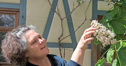 Hobbyimkerin Tanja Grathwohl erfreut sich in ihrem Garten in Wohlmuthausen an der Kastanienbl&uuml;te. Die ist auch f&uuml;r Bienen und Hummeln , die ebenfalls zu den Wildbienen z&auml;hlen, ein Festmahl.
Fotos: Andreas Scholz