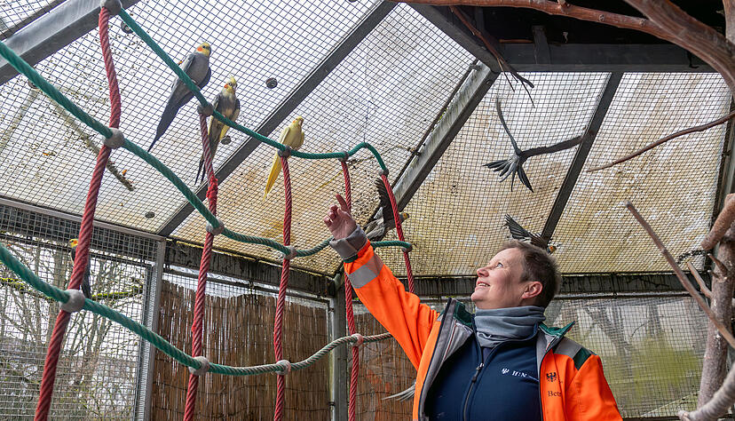 Silke Wolf sorgt f&uuml;r die zahlreichen V&ouml;gel in der Voliere im Pf&uuml;hlpark